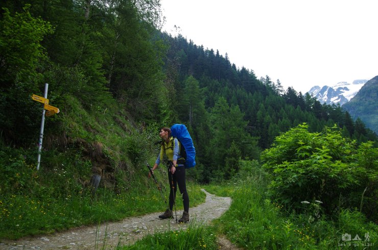 Finally!!! We are back on the real trail!