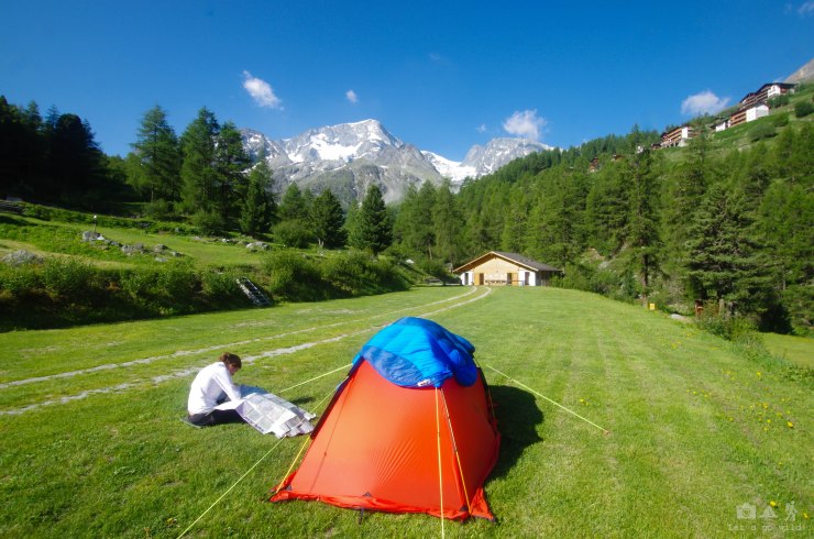 Morning questions: where to go and what to eat? Damn fox…