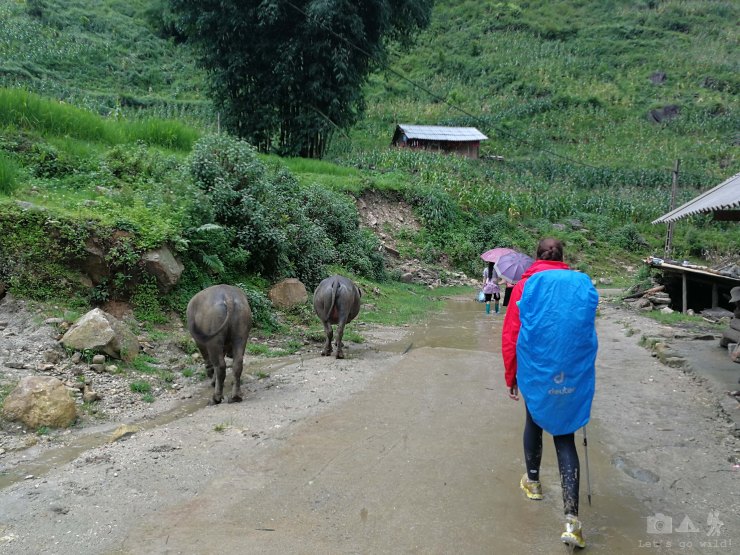 Hurry up! Almost arriving the lunch stop