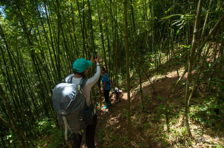 A view from the other side